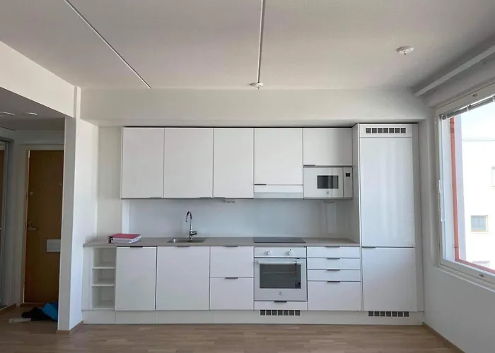 公寓 Onnellinen Koti *